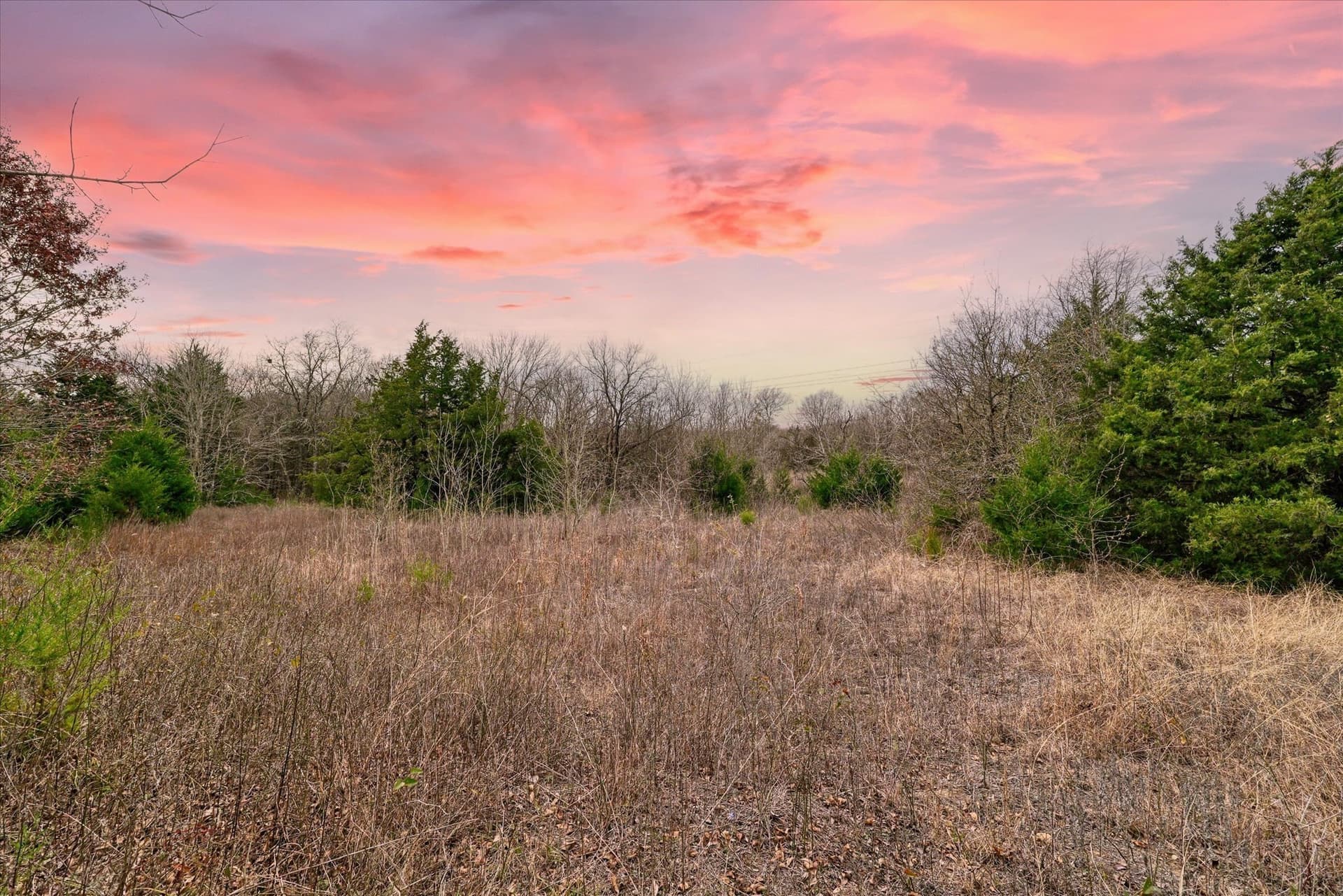 11.12 acres in Limestone County - photo 8