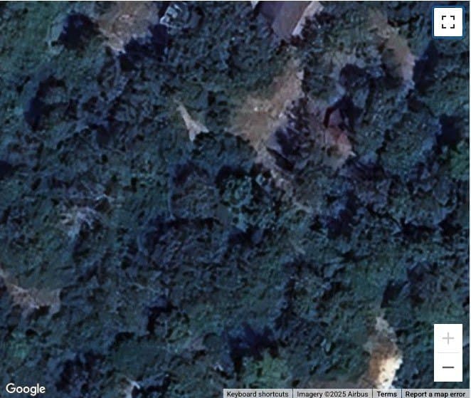 10.01 acres in Leon County - photo 2