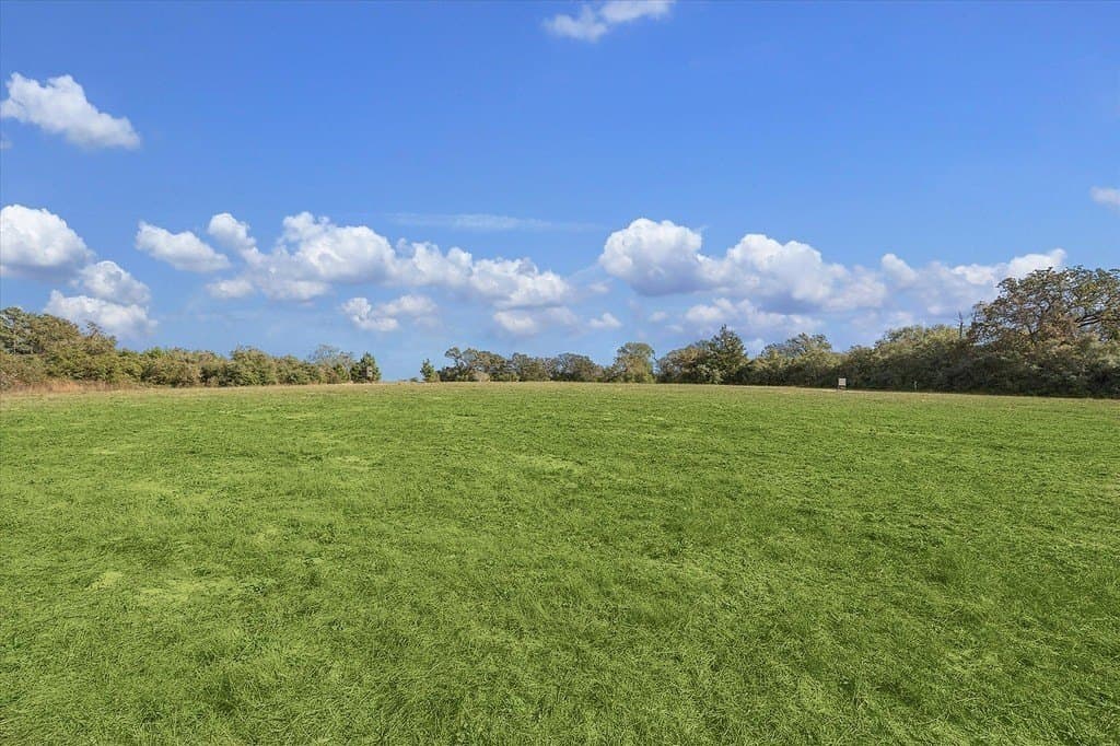 25.13 acres in Waller County - photo 17