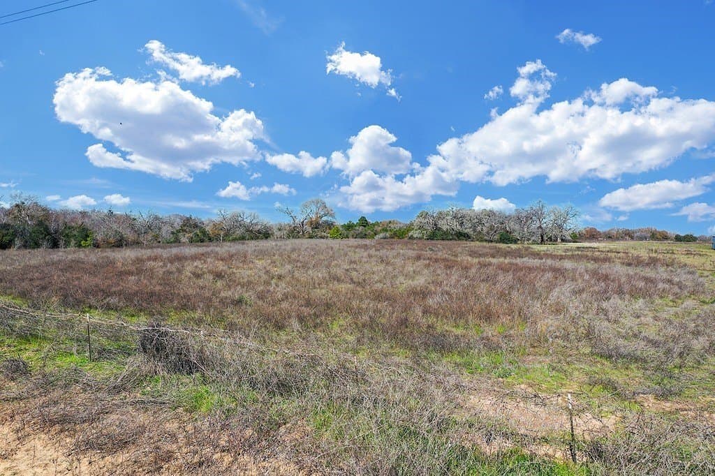 25.13 acres in Waller County - photo 12