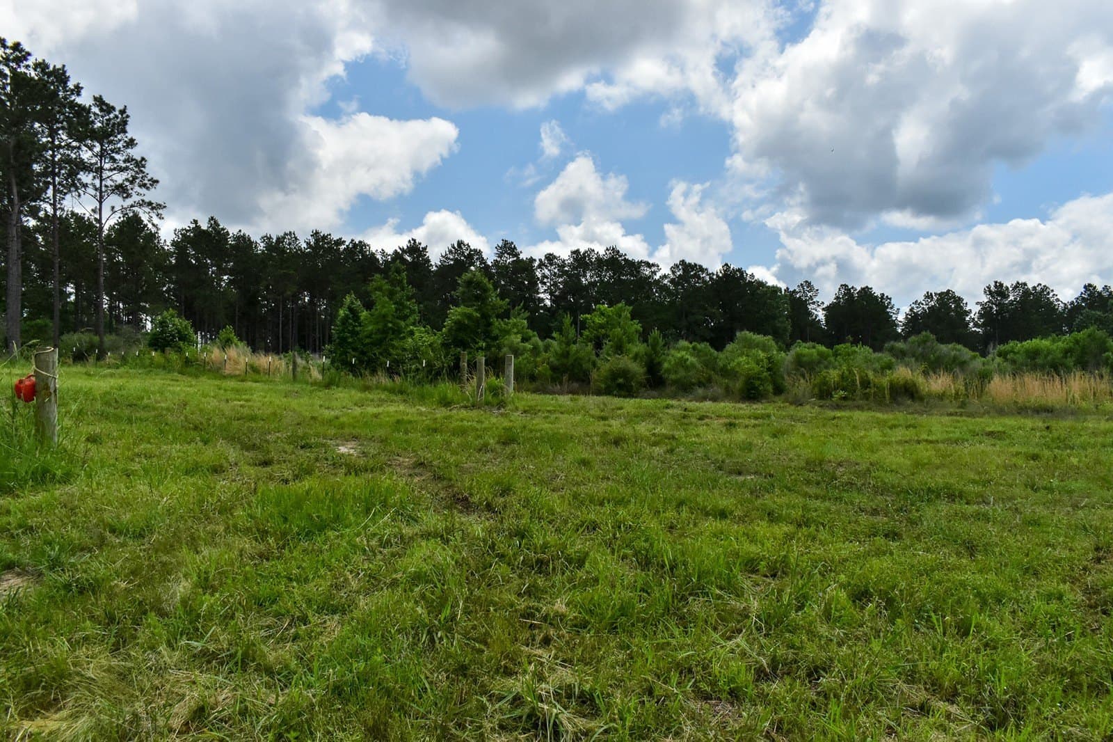 11.98 acres in Polk County gallery image 2