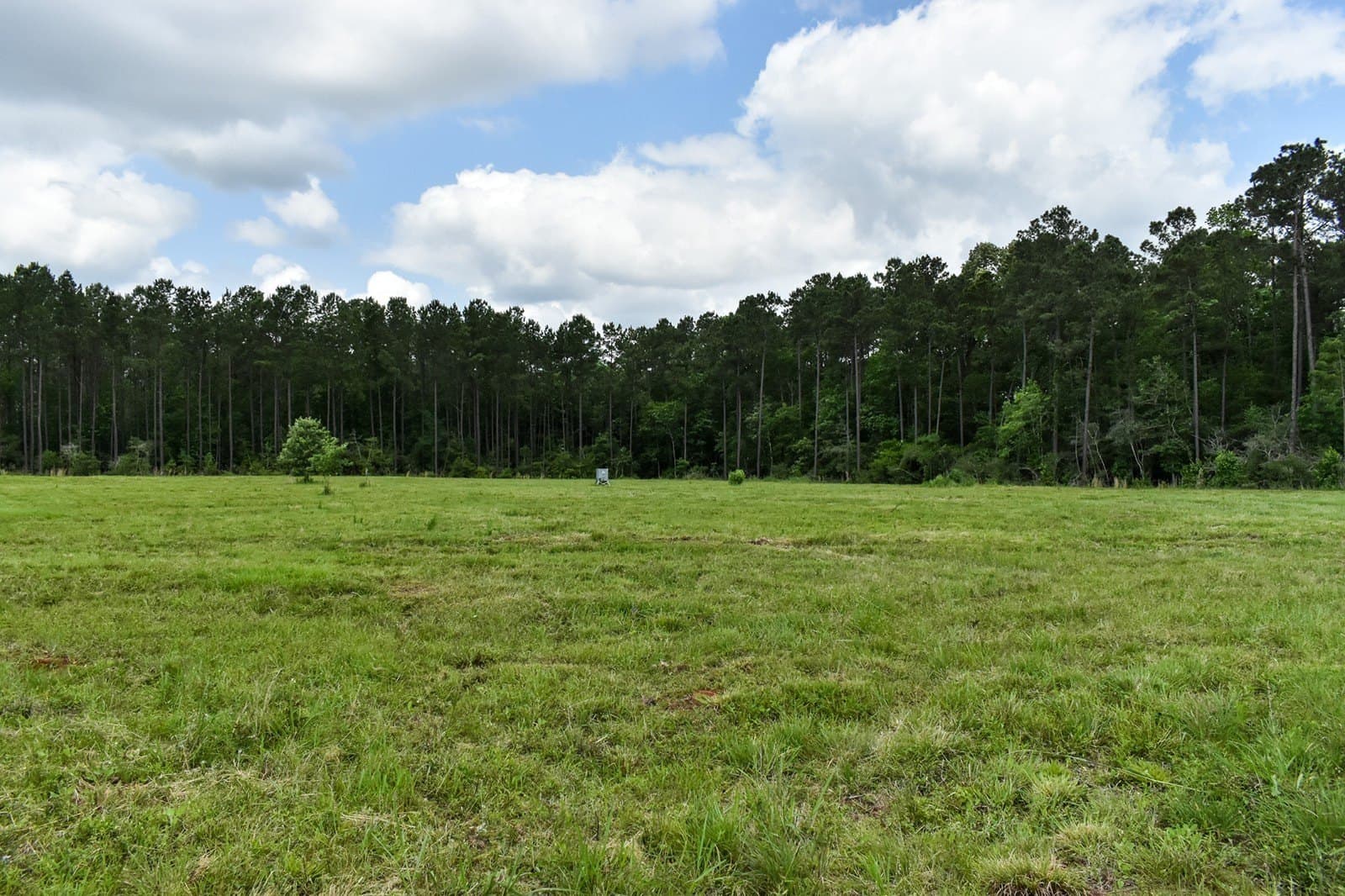 11.98 acres in Polk County gallery image 3
