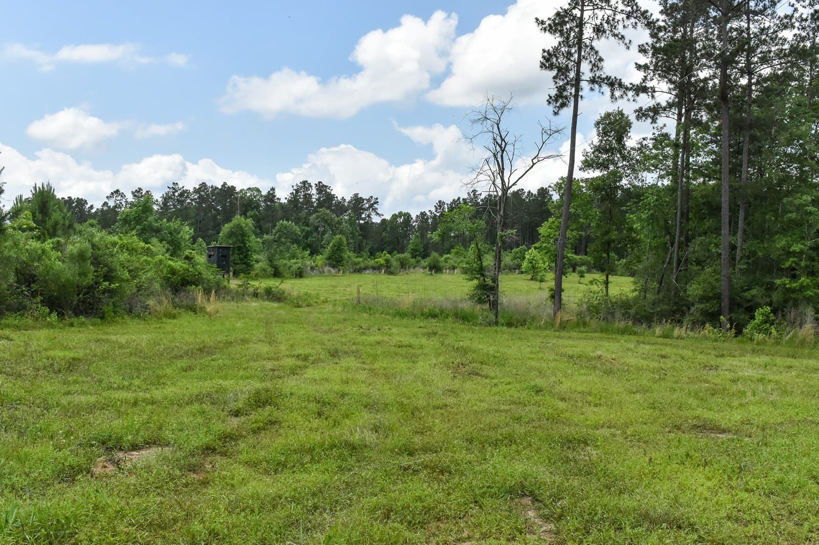 11.98 acres in Polk County