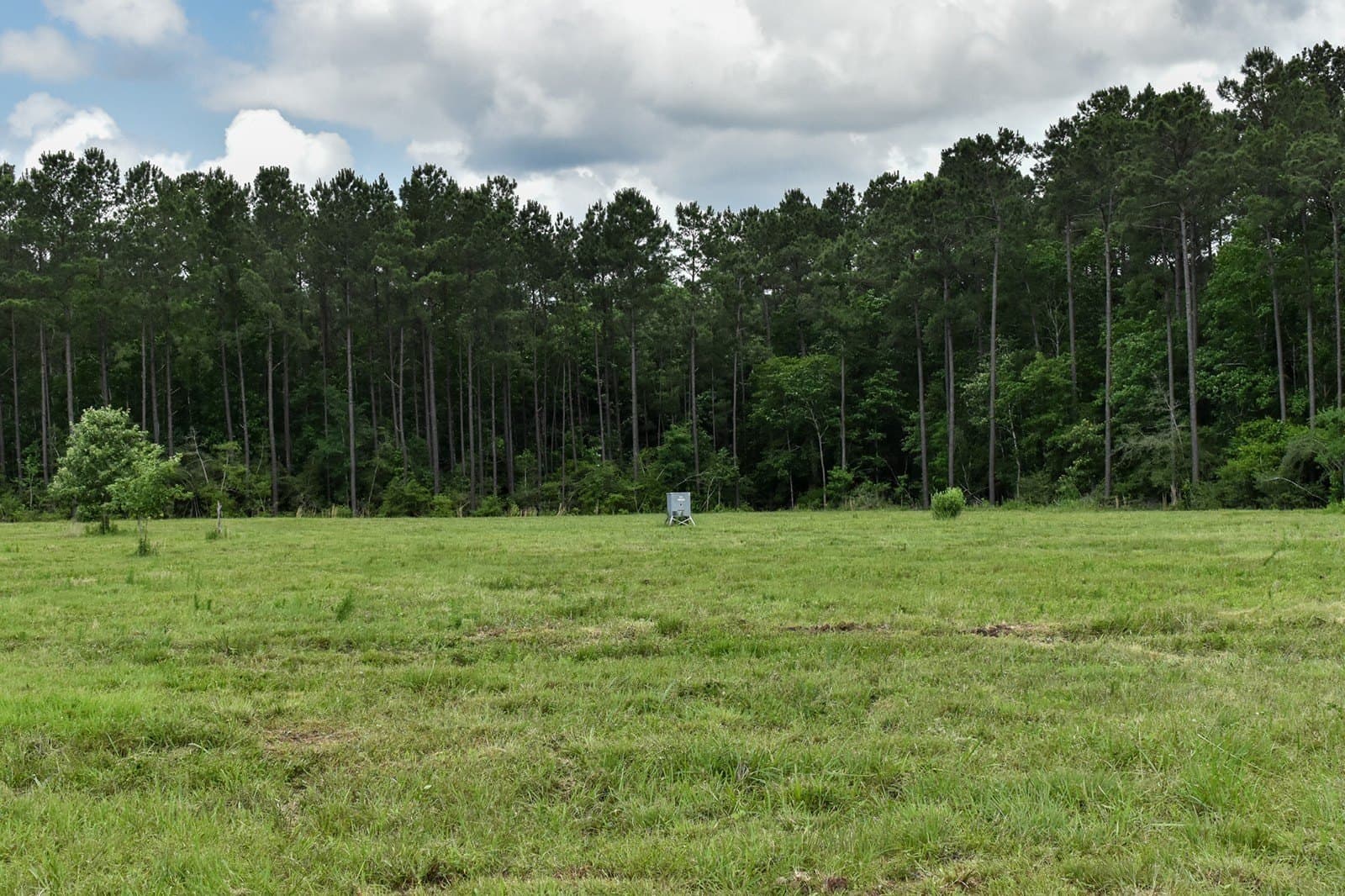 11.98 acres in Polk County featured view