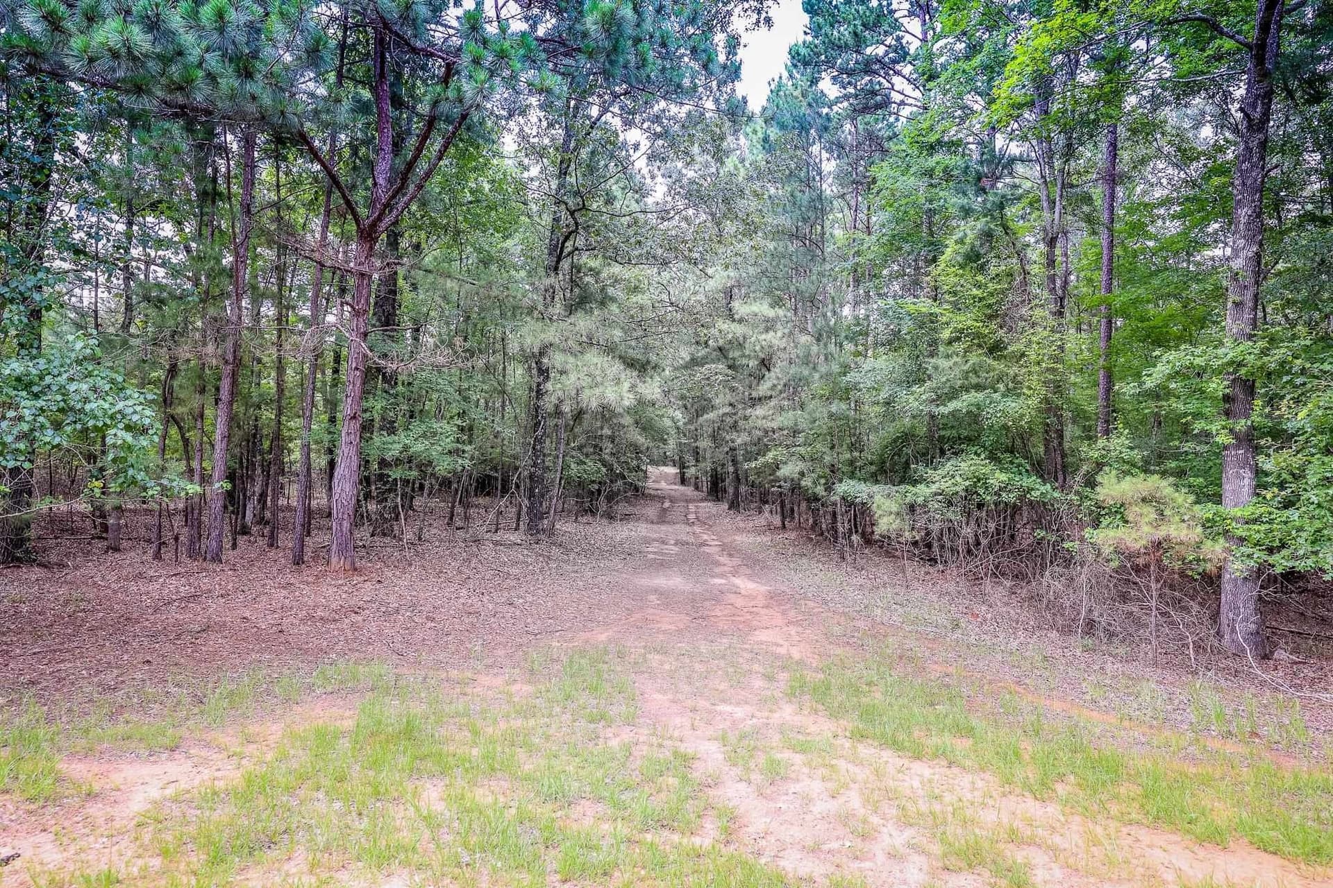 60.34 acres in Harrison County gallery image 2