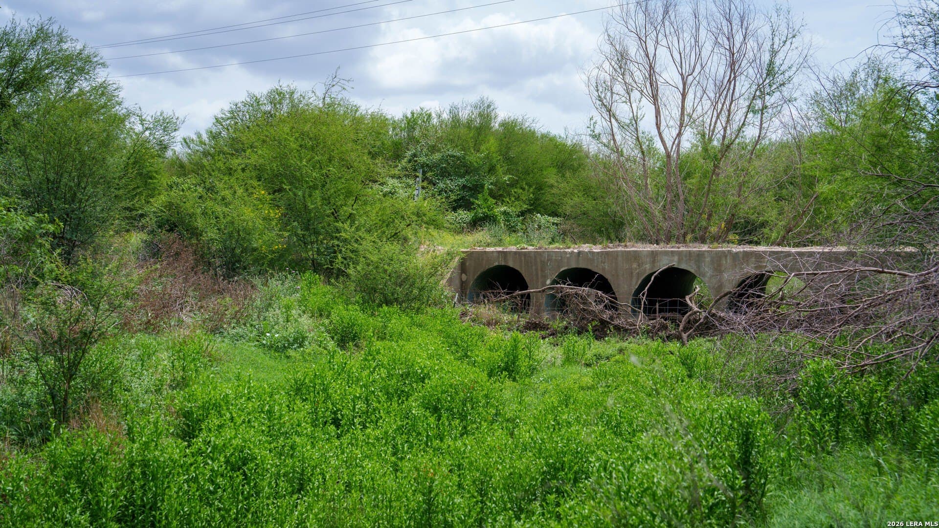 100.91 acres in Wilson County - photo 19