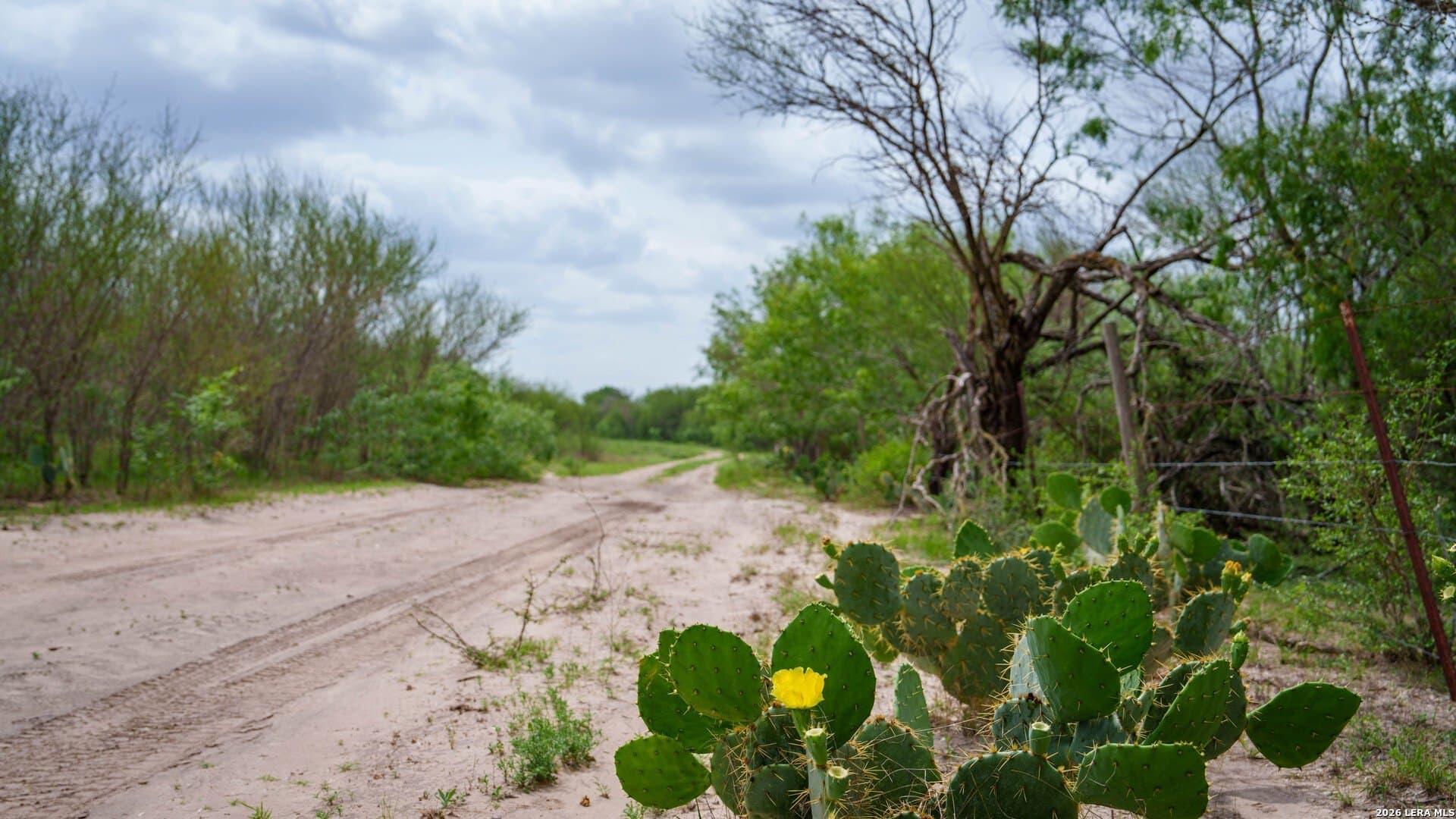 100.91 acres in Wilson County - photo 10