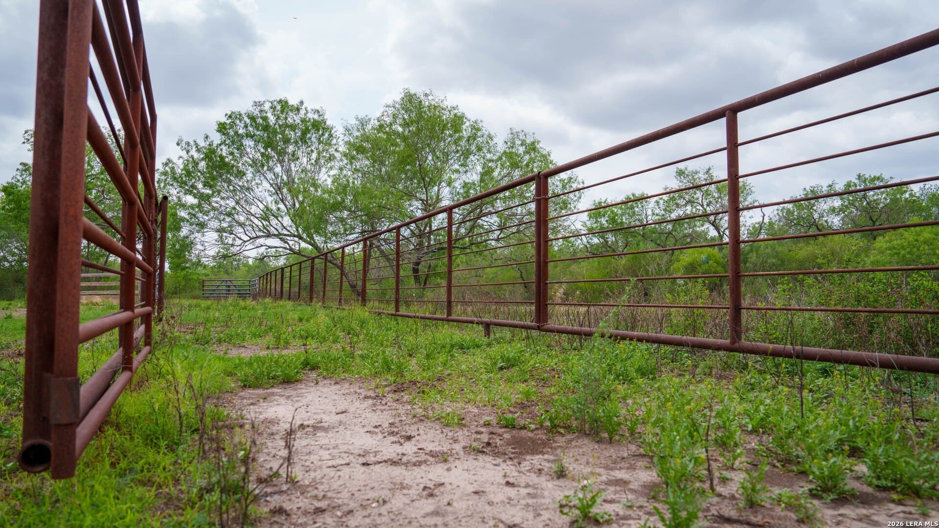 100.91 acres in Wilson County - photo 6