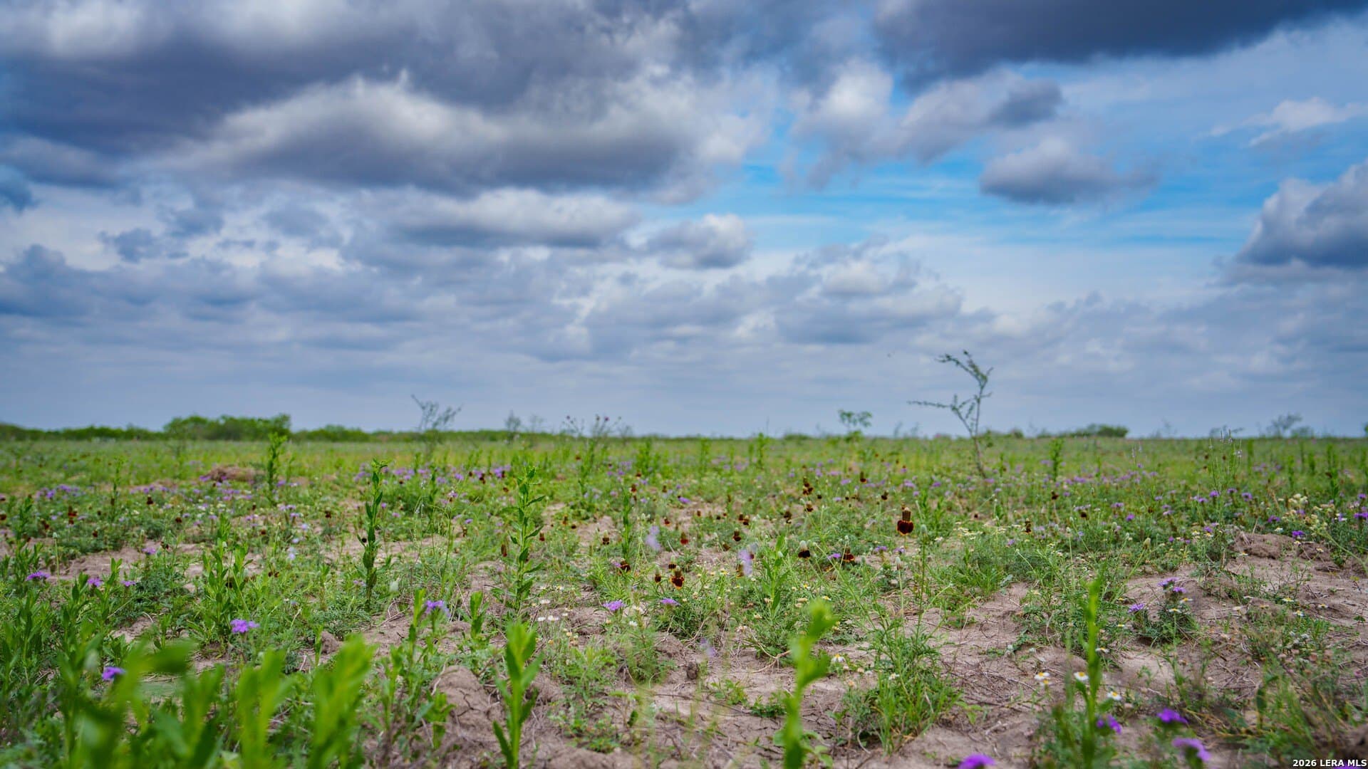 100.91 acres in Wilson County - photo 8