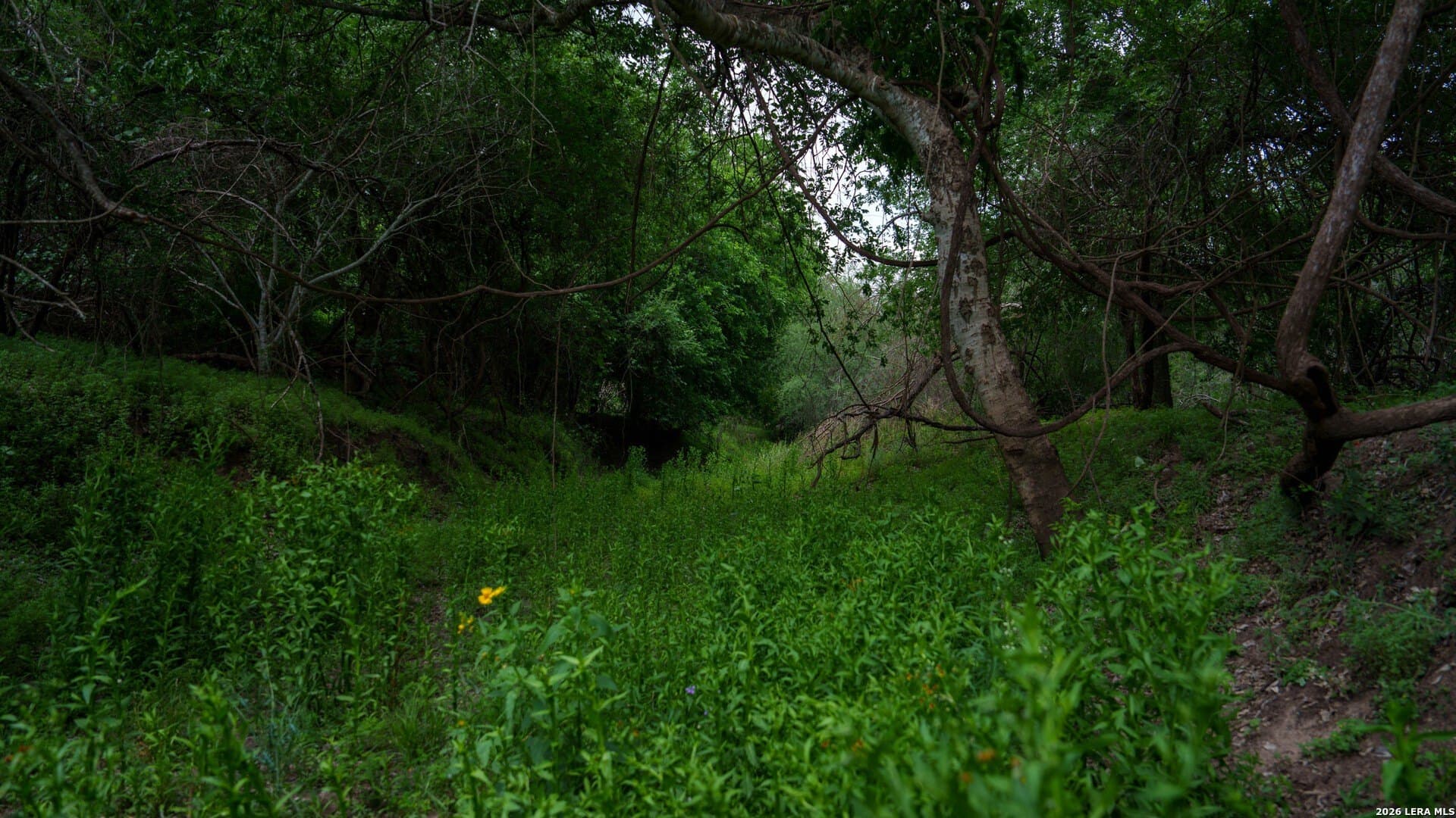 100.91 acres in Wilson County - photo 17