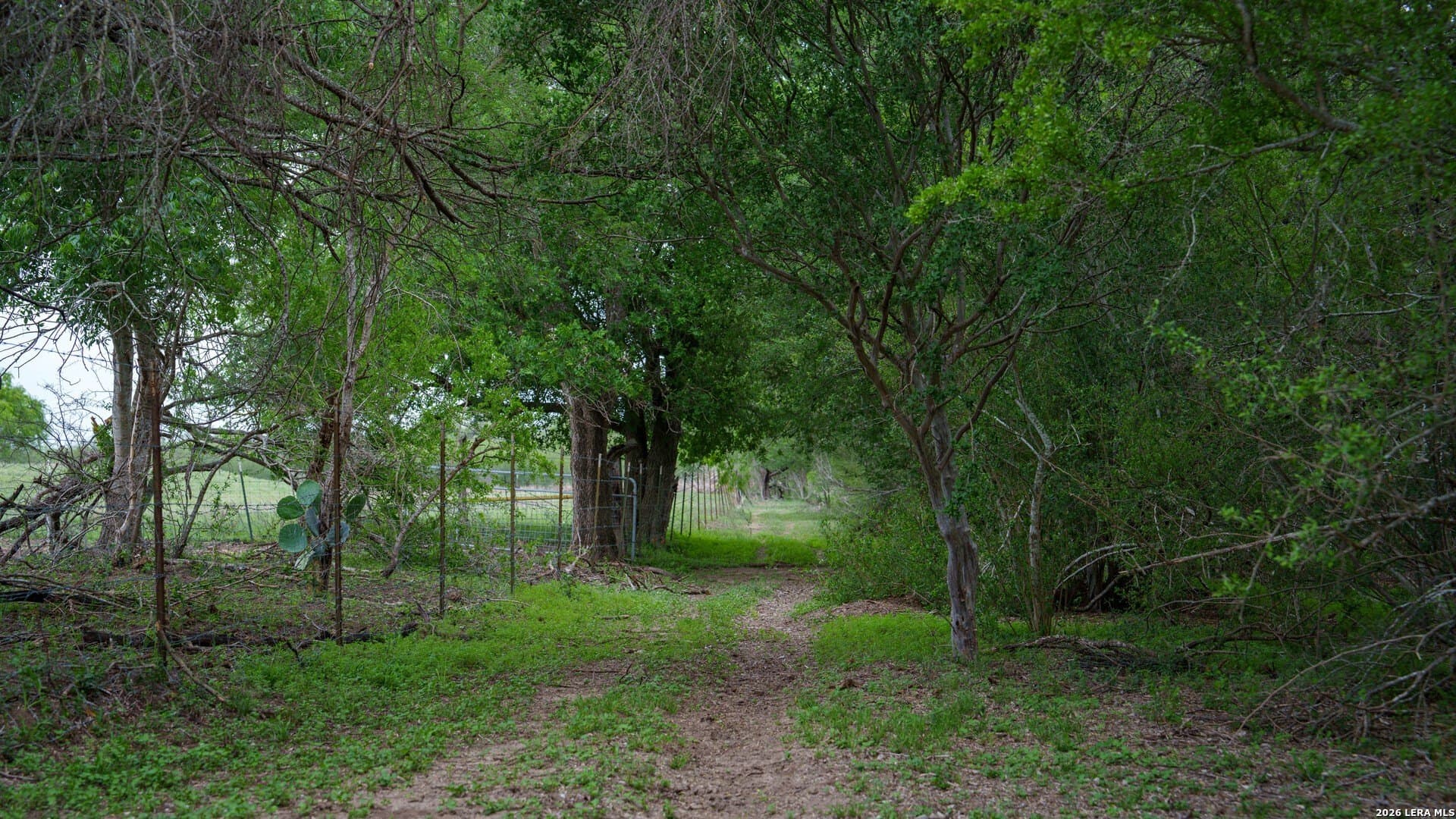 100.91 acres in Wilson County - photo 9