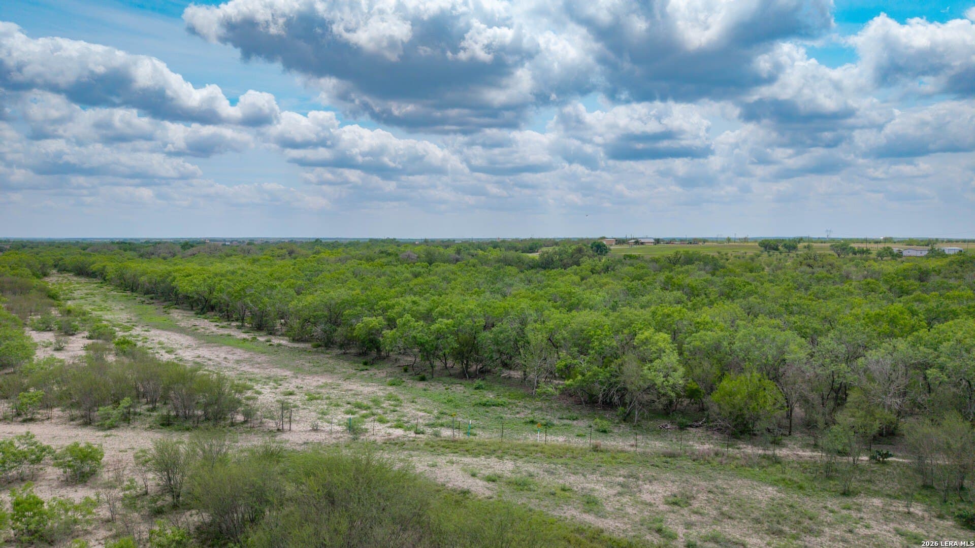 100.91 acres in Wilson County - photo 20