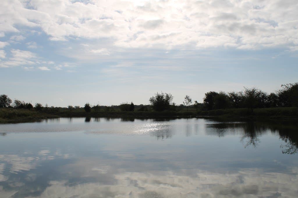 67.53 acres in Van Zandt County gallery image 4