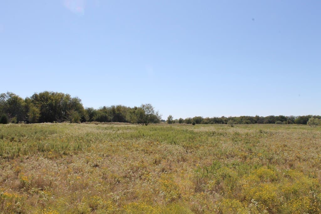 67.53 acres in Van Zandt County gallery image 3