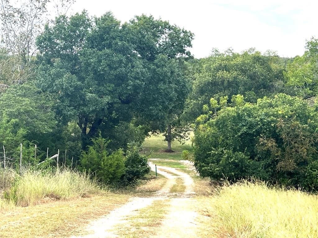 10 acres in Kerr County - photo 7
