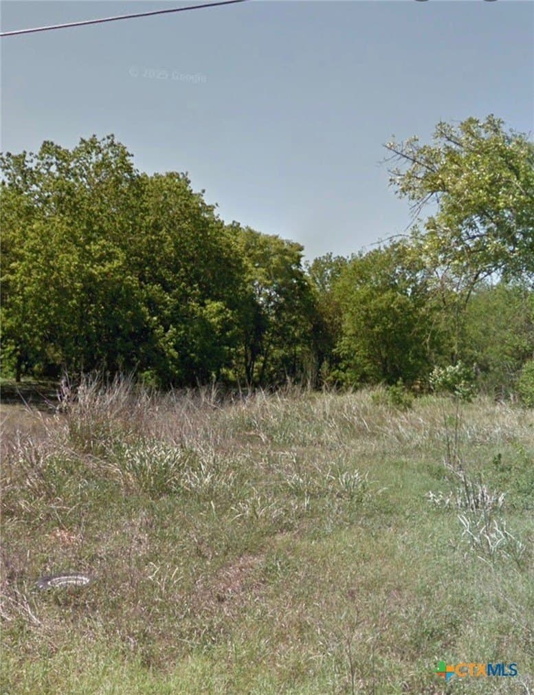 0.18 acres in Guadalupe County gallery image 2