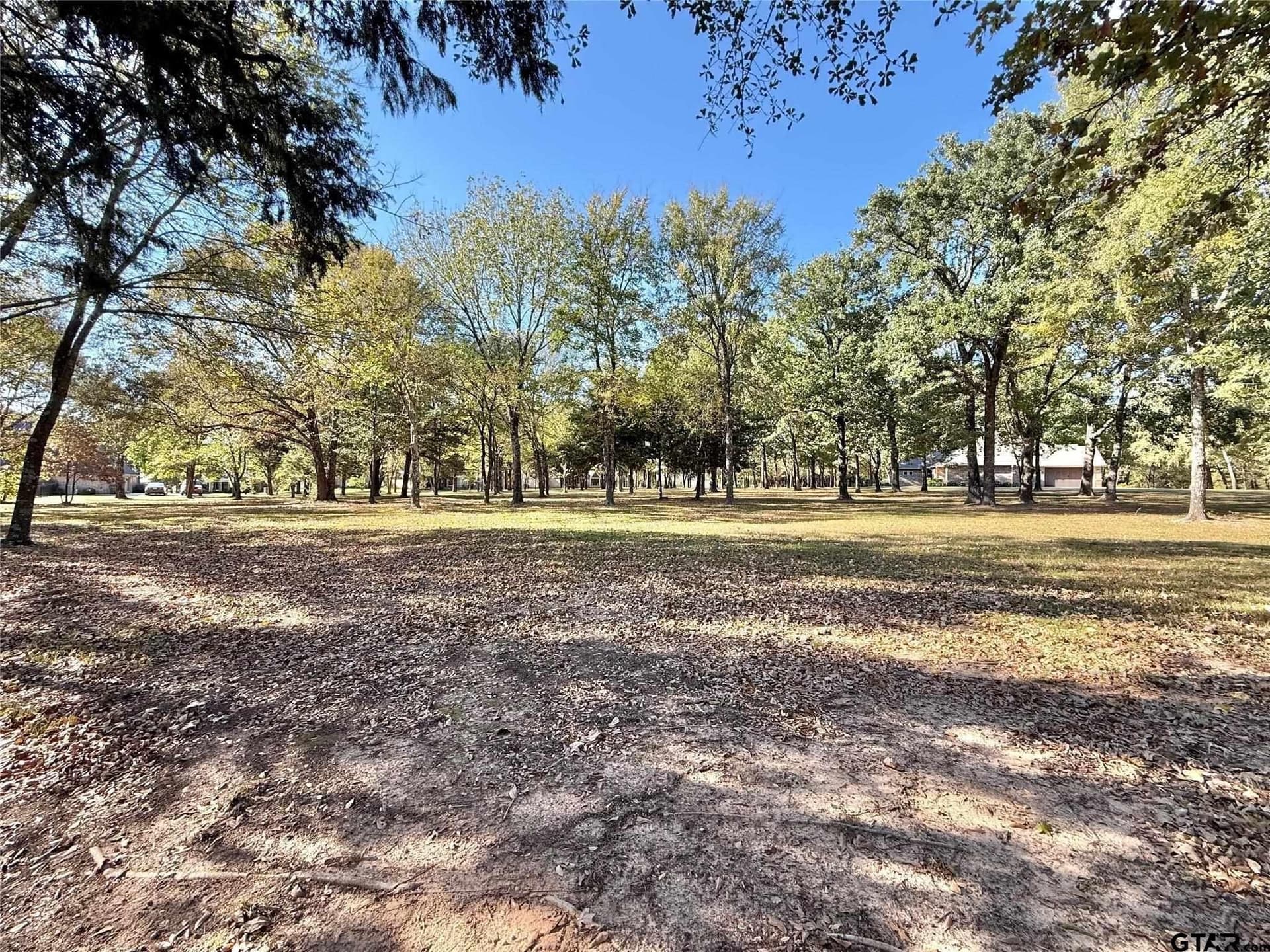 0.66 acres in Wood County - photo 6