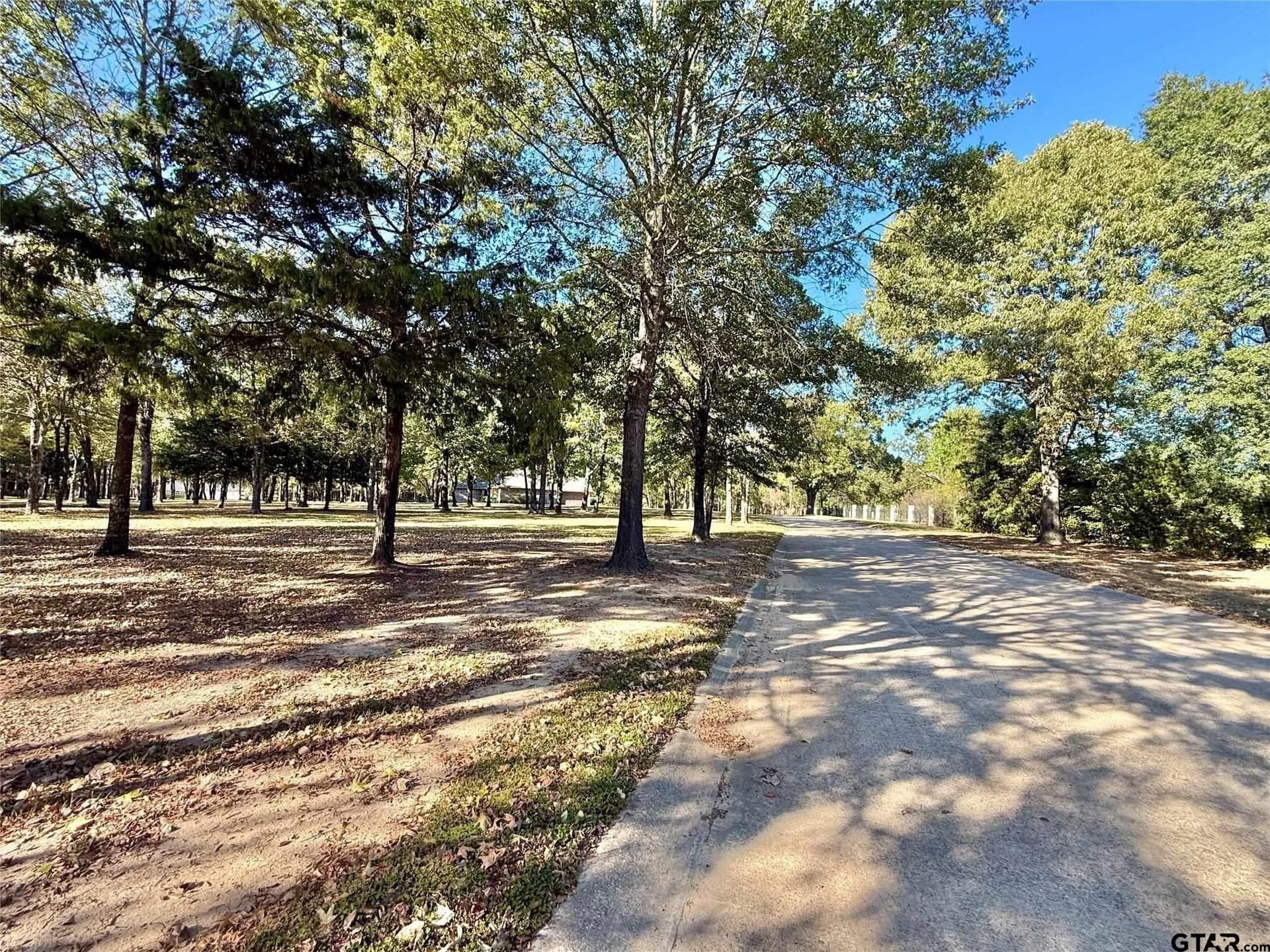 0.66 acres in Wood County - photo 9
