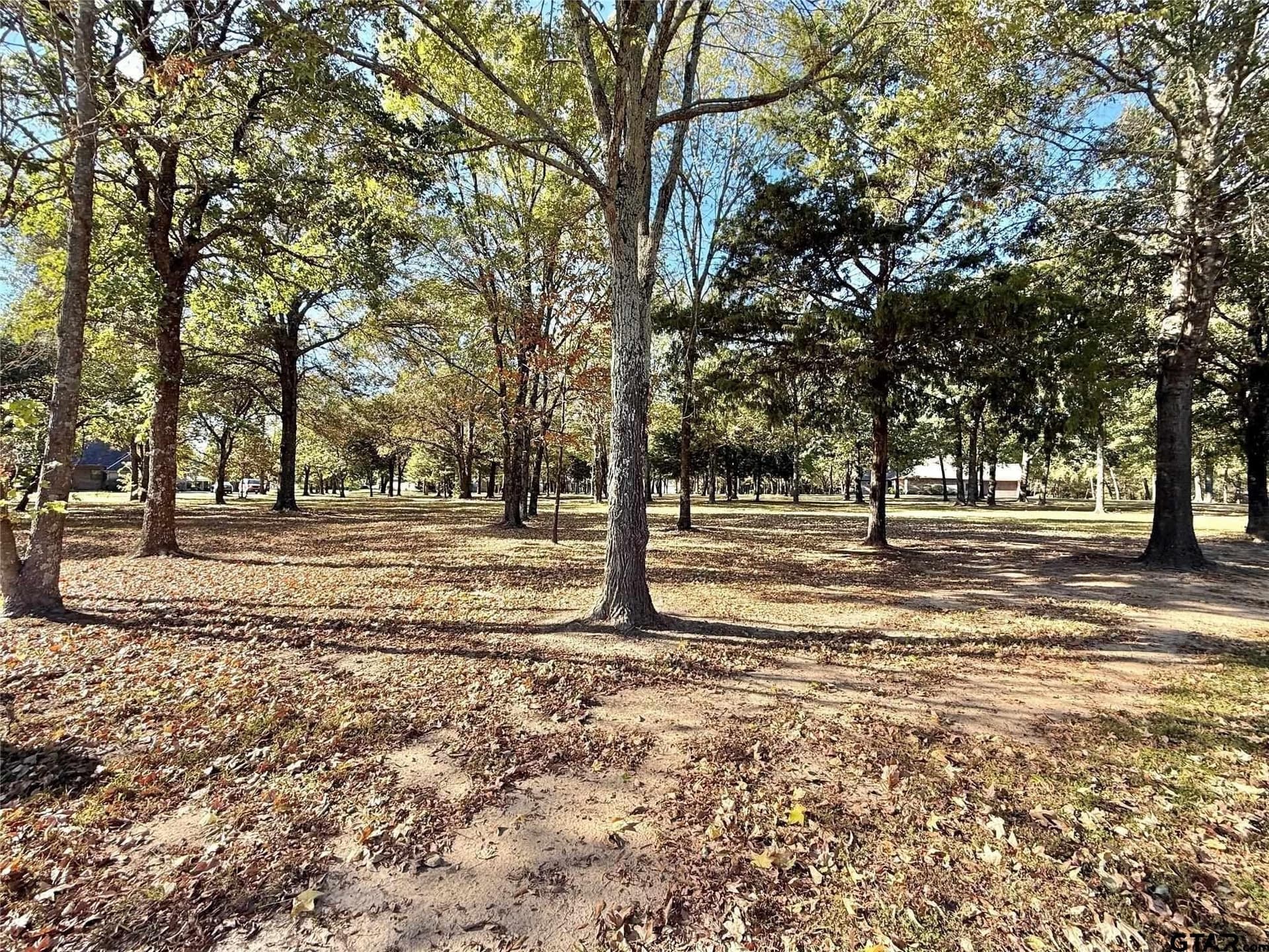 0.66 acres in Wood County - photo 10