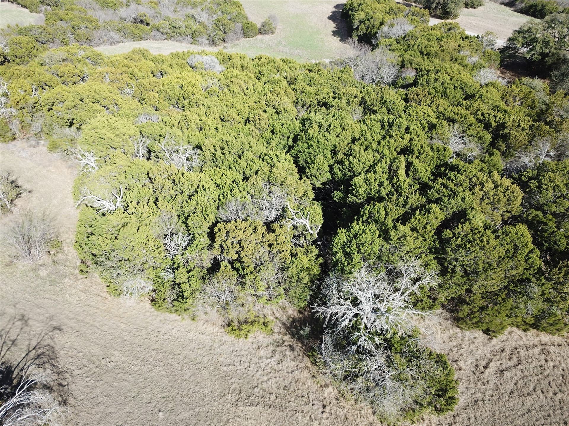 0.68 acres in Johnson County - photo 3