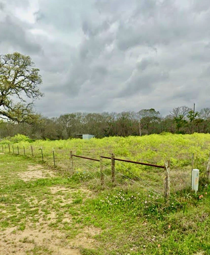 17 acres in Lee County - photo 6