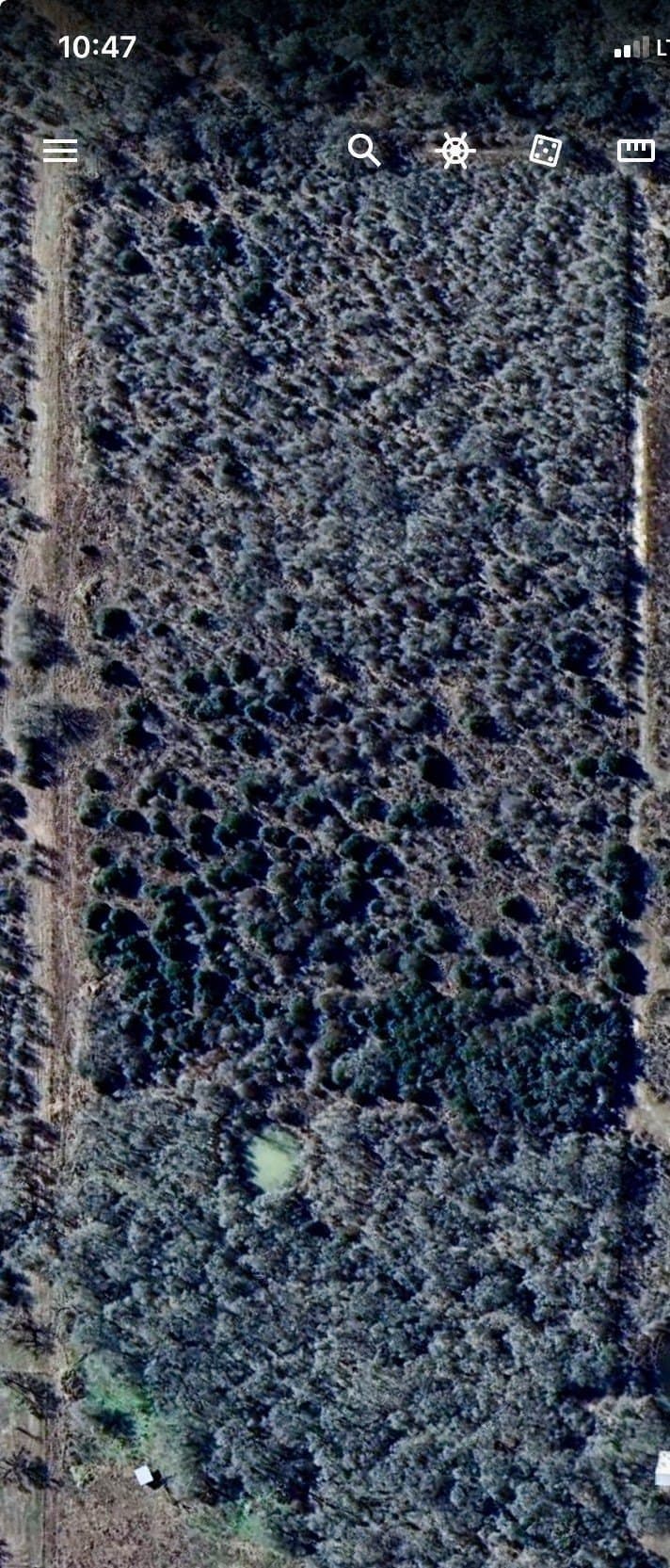 17 acres in Lee County - photo 10