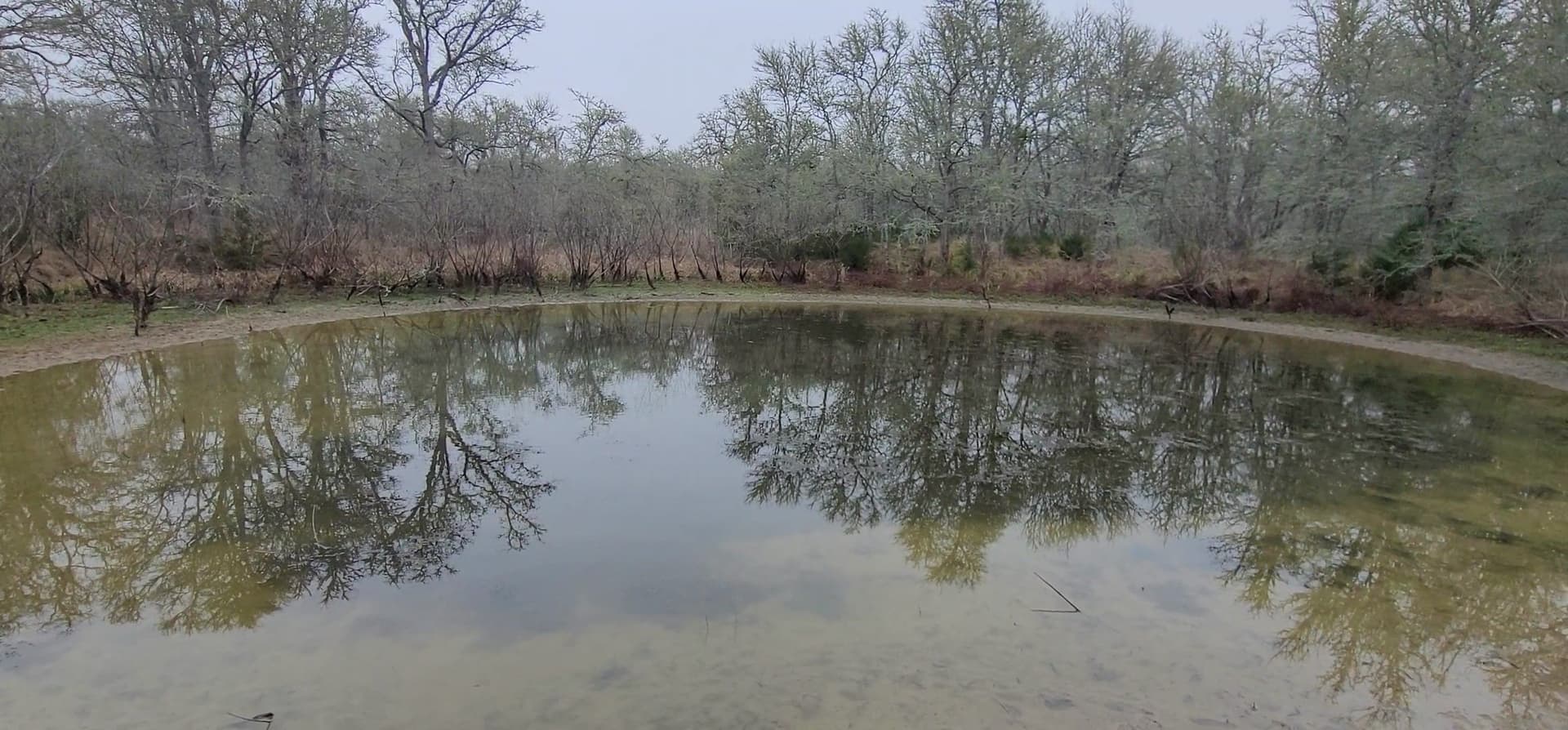 17 acres in Lee County - photo 8