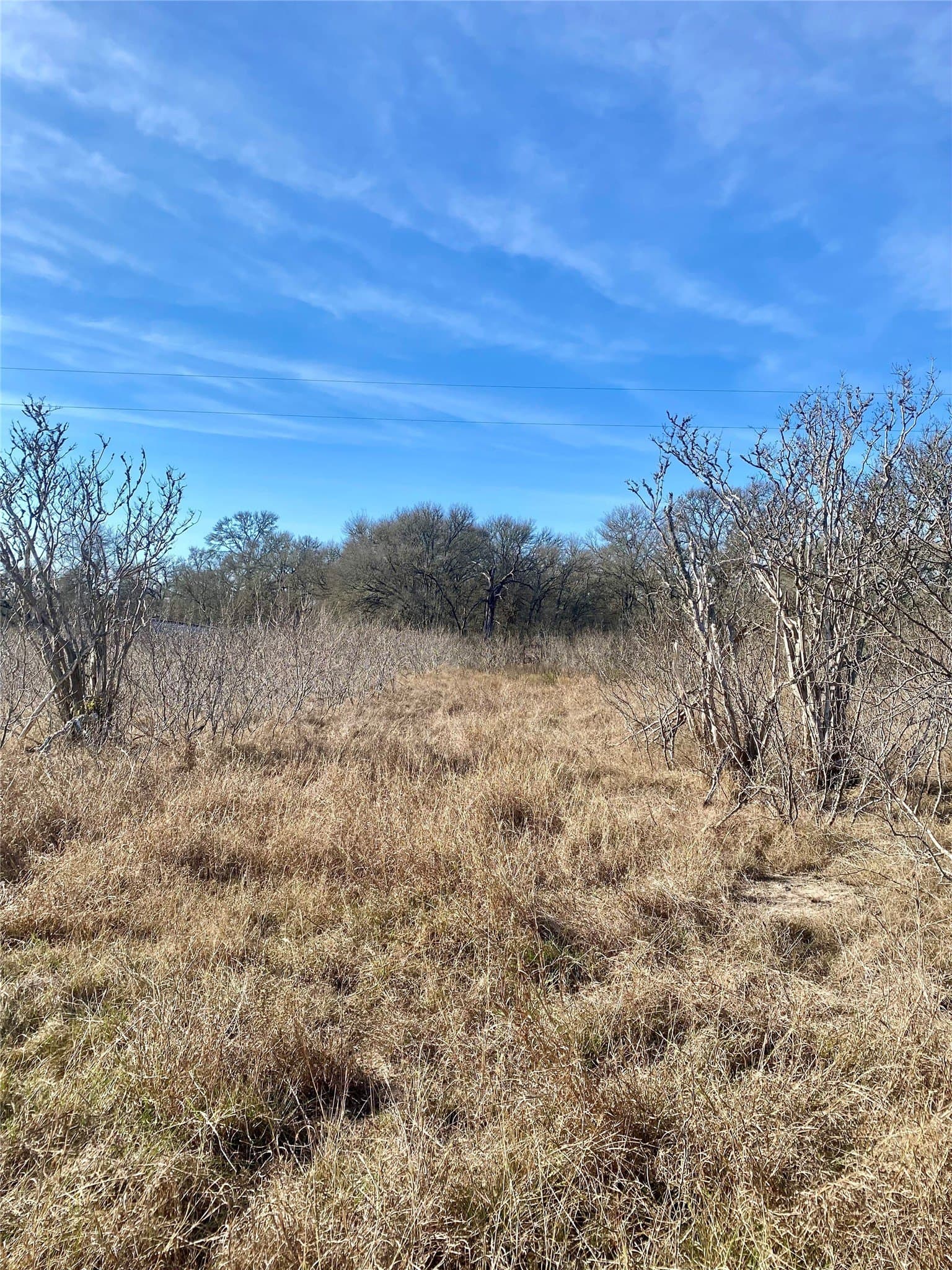 17 acres in Lee County - photo 7