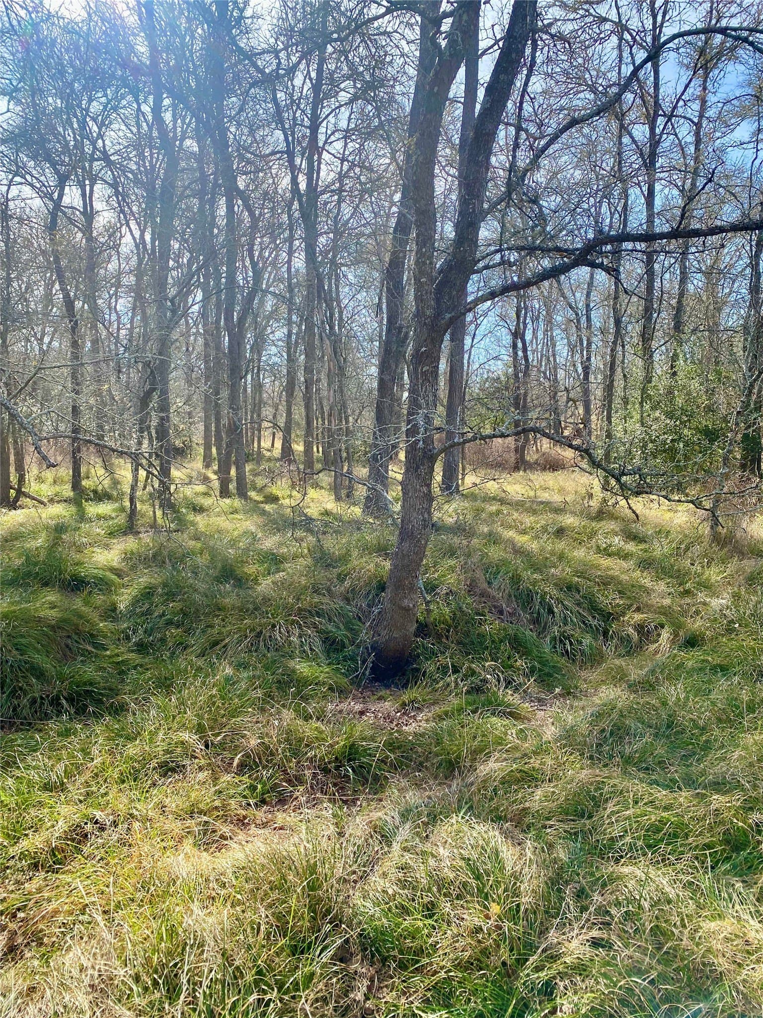 17 acres in Lee County featured view