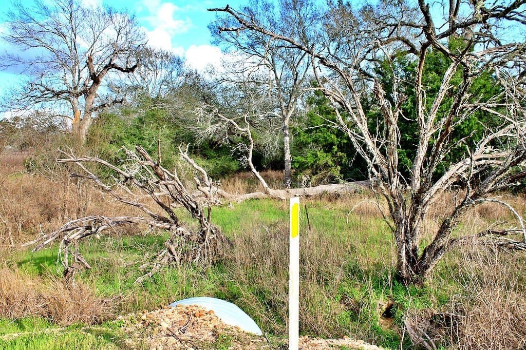 5.54 acres in Colorado County - photo 16
