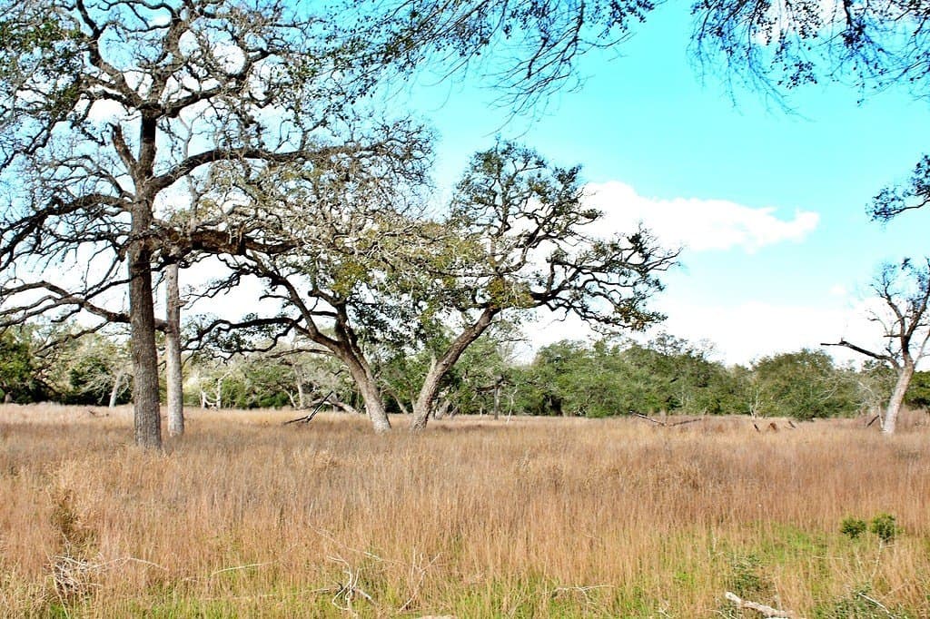 5.54 acres in Colorado County - photo 11