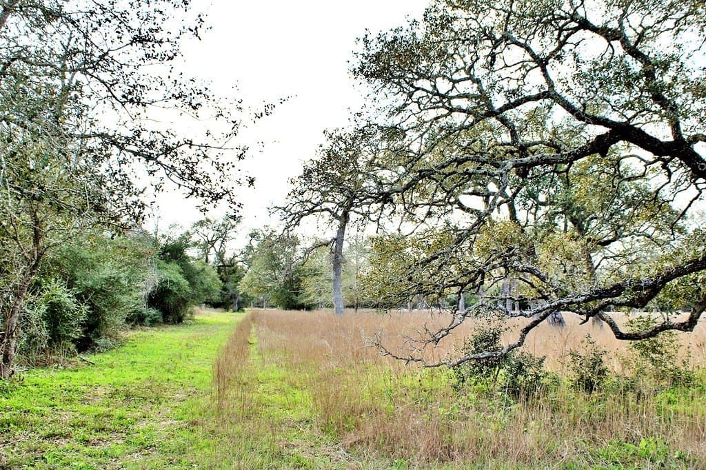 5.54 acres in Colorado County - photo 14