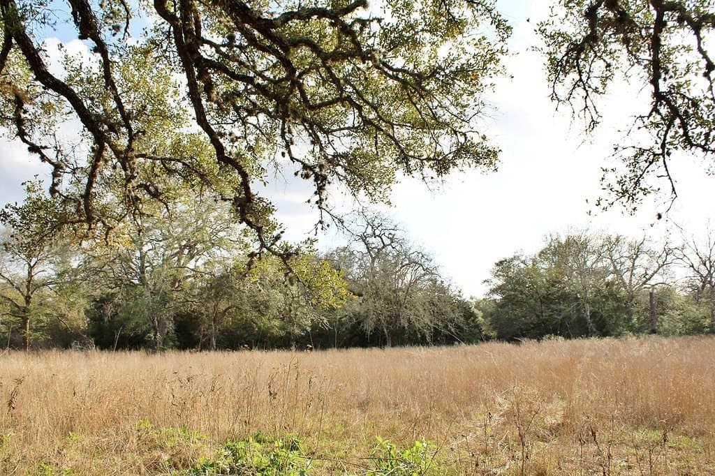 5.54 acres in Colorado County - photo 15