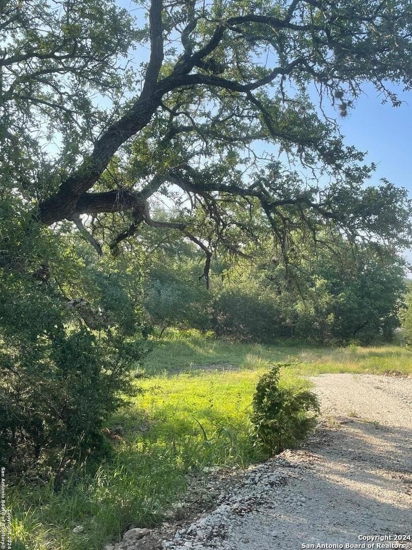 3.28 acres in Comal County - photo 16
