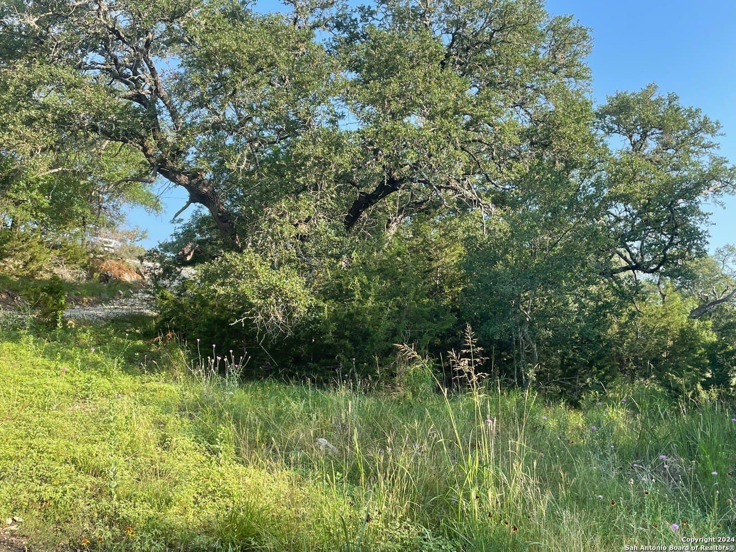 3.28 acres in Comal County - photo 12