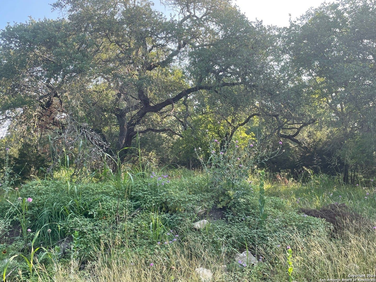 3.28 acres in Comal County - photo 13