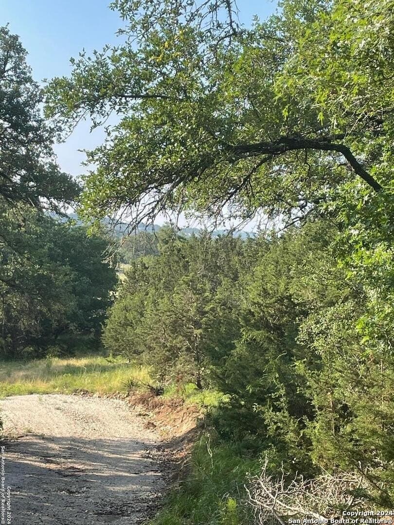 3.28 acres in Comal County - photo 9