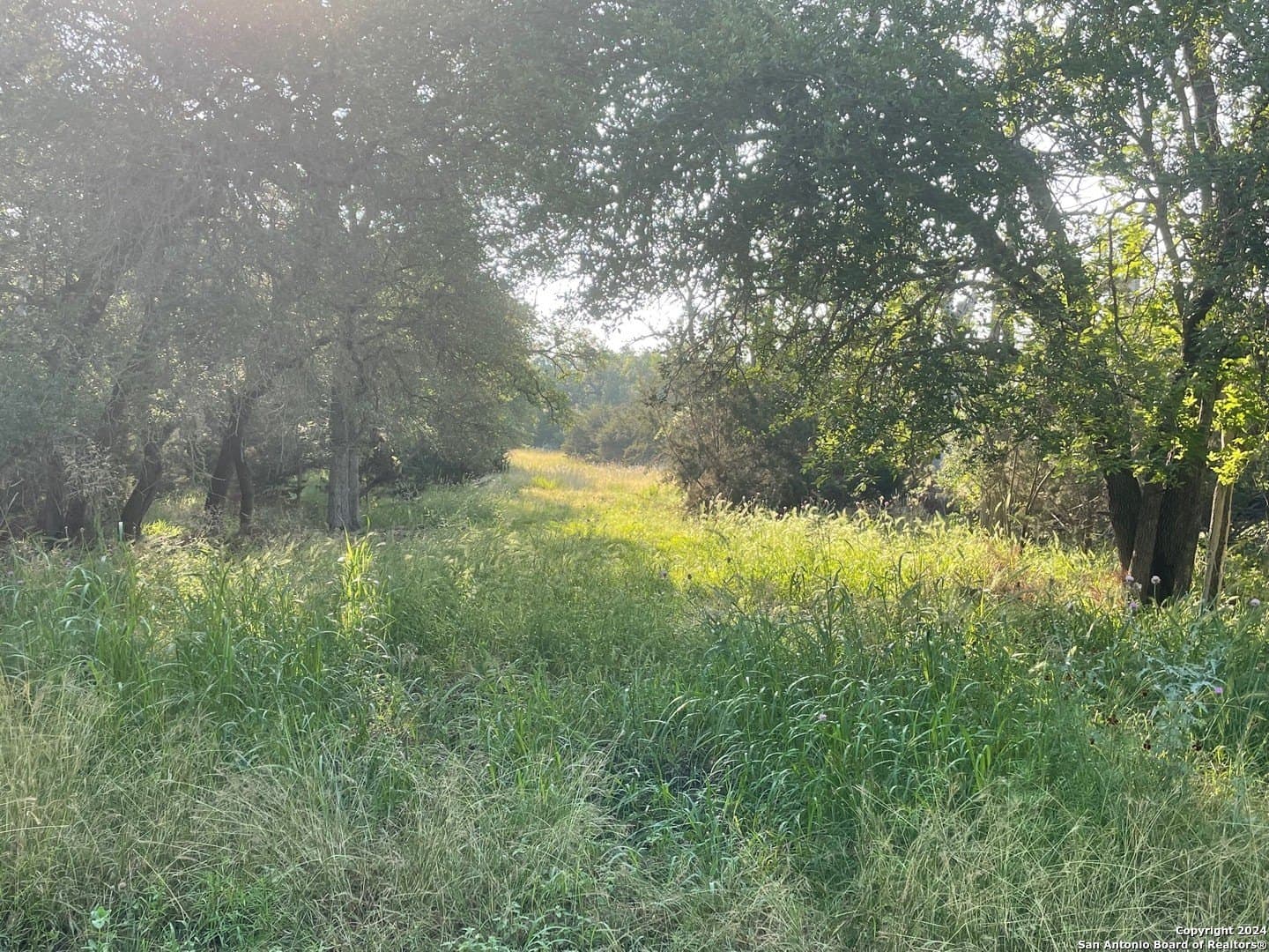 3.28 acres in Comal County - photo 11