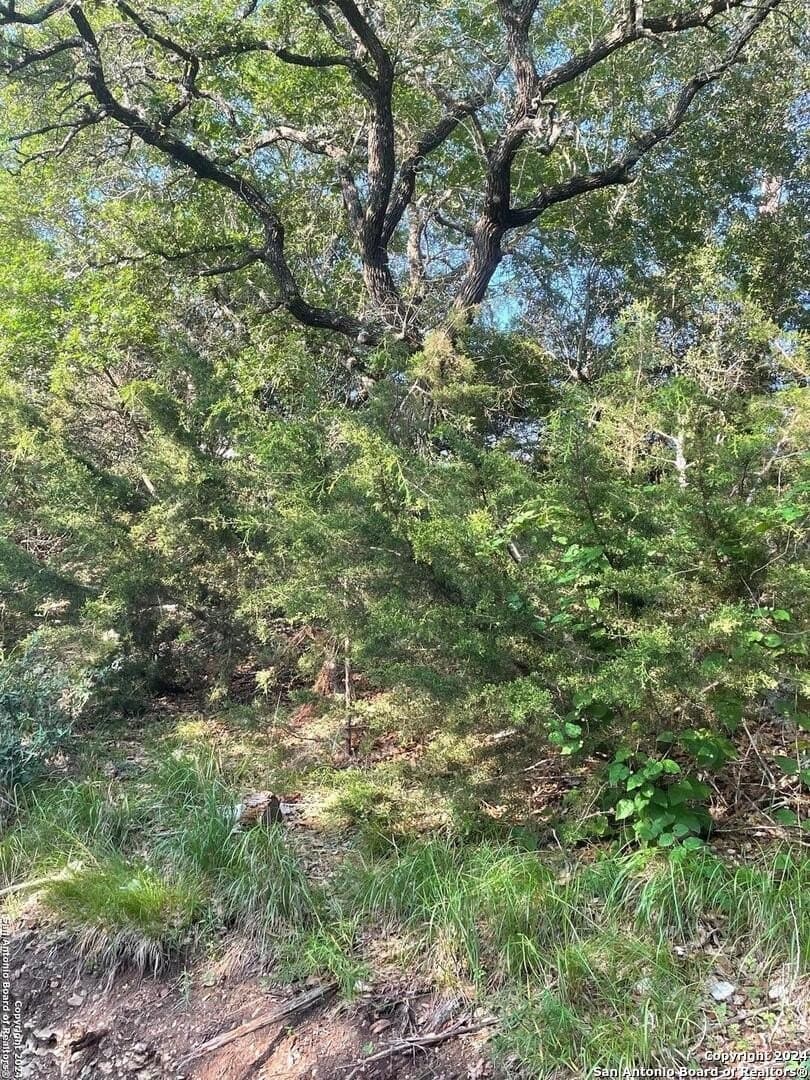 3.28 acres in Comal County - photo 15