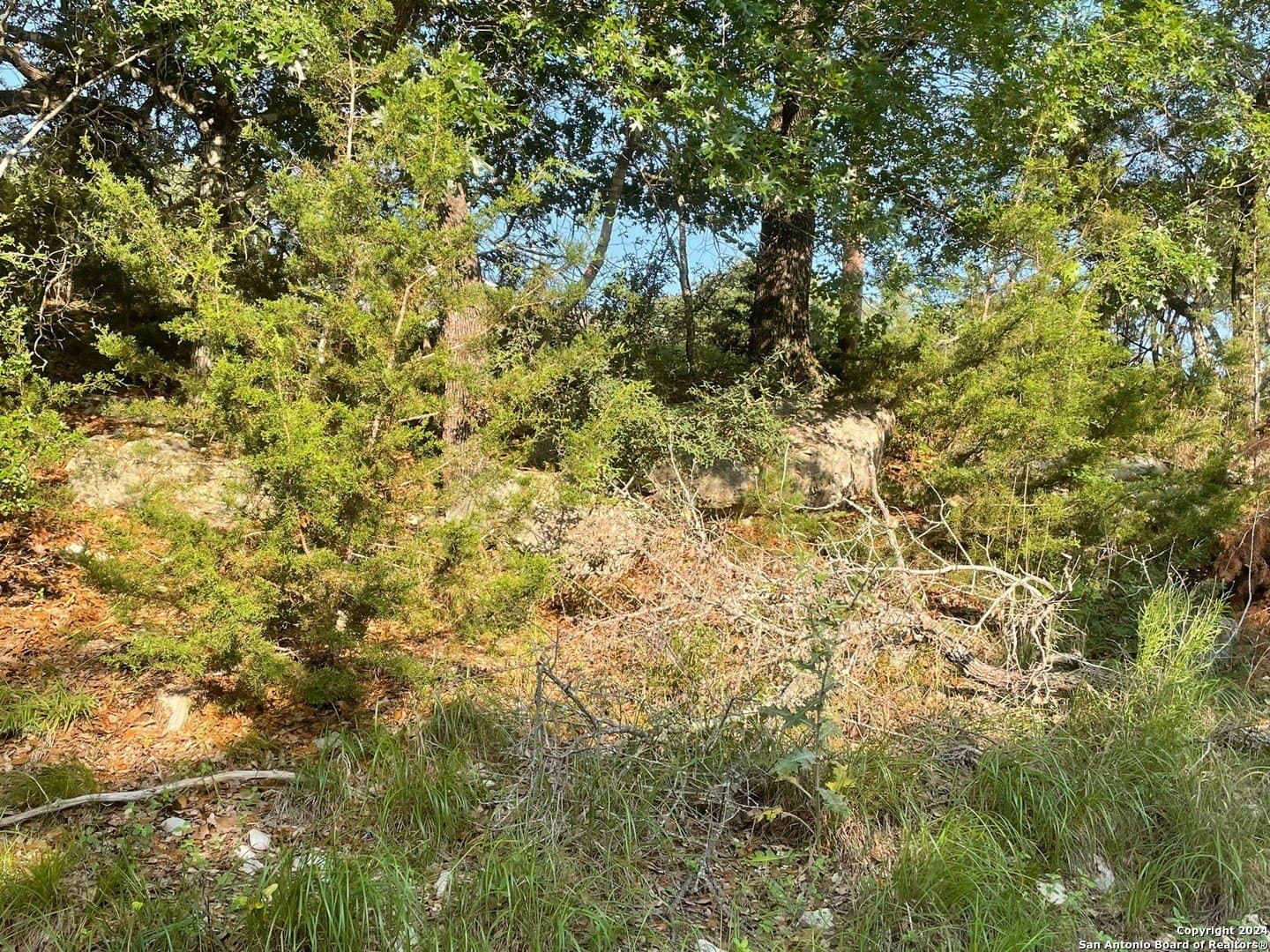 3.28 acres in Comal County - photo 14