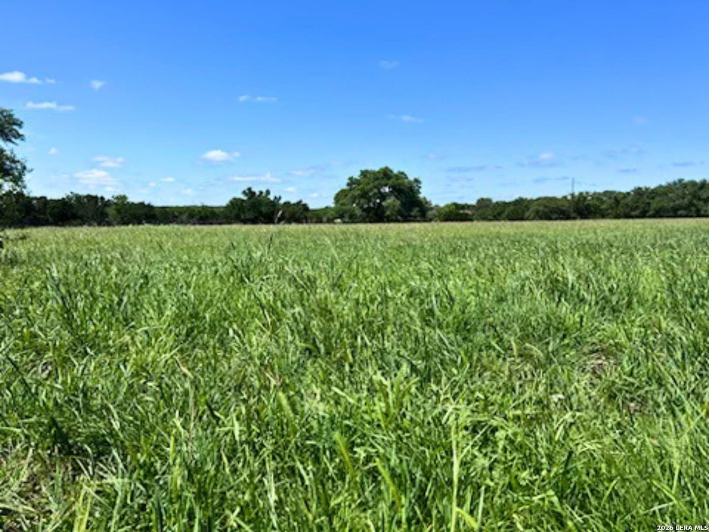 20 acres in Comal County - photo 26