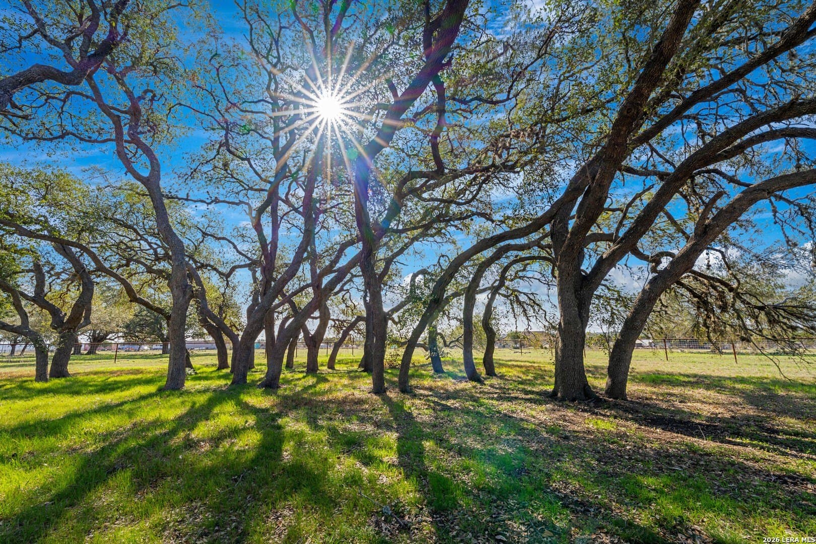 20 acres in Comal County - photo 42