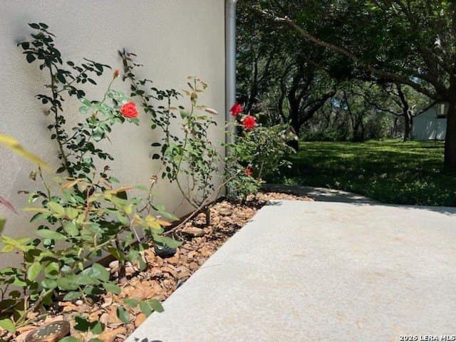 20 acres in Comal County - photo 44