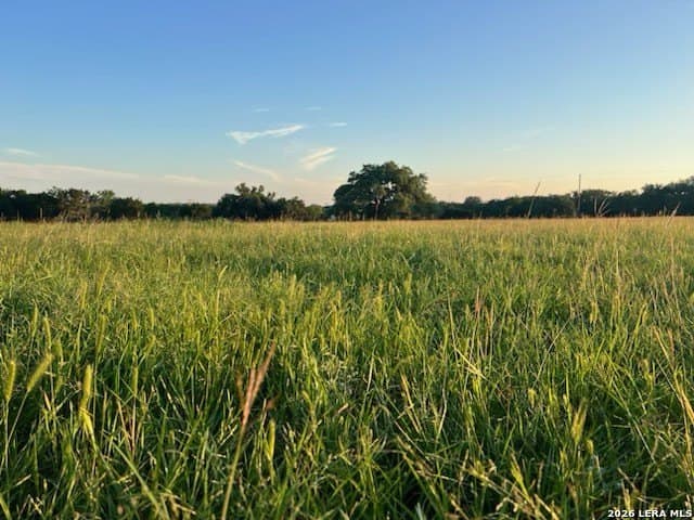 20 acres in Comal County - photo 58