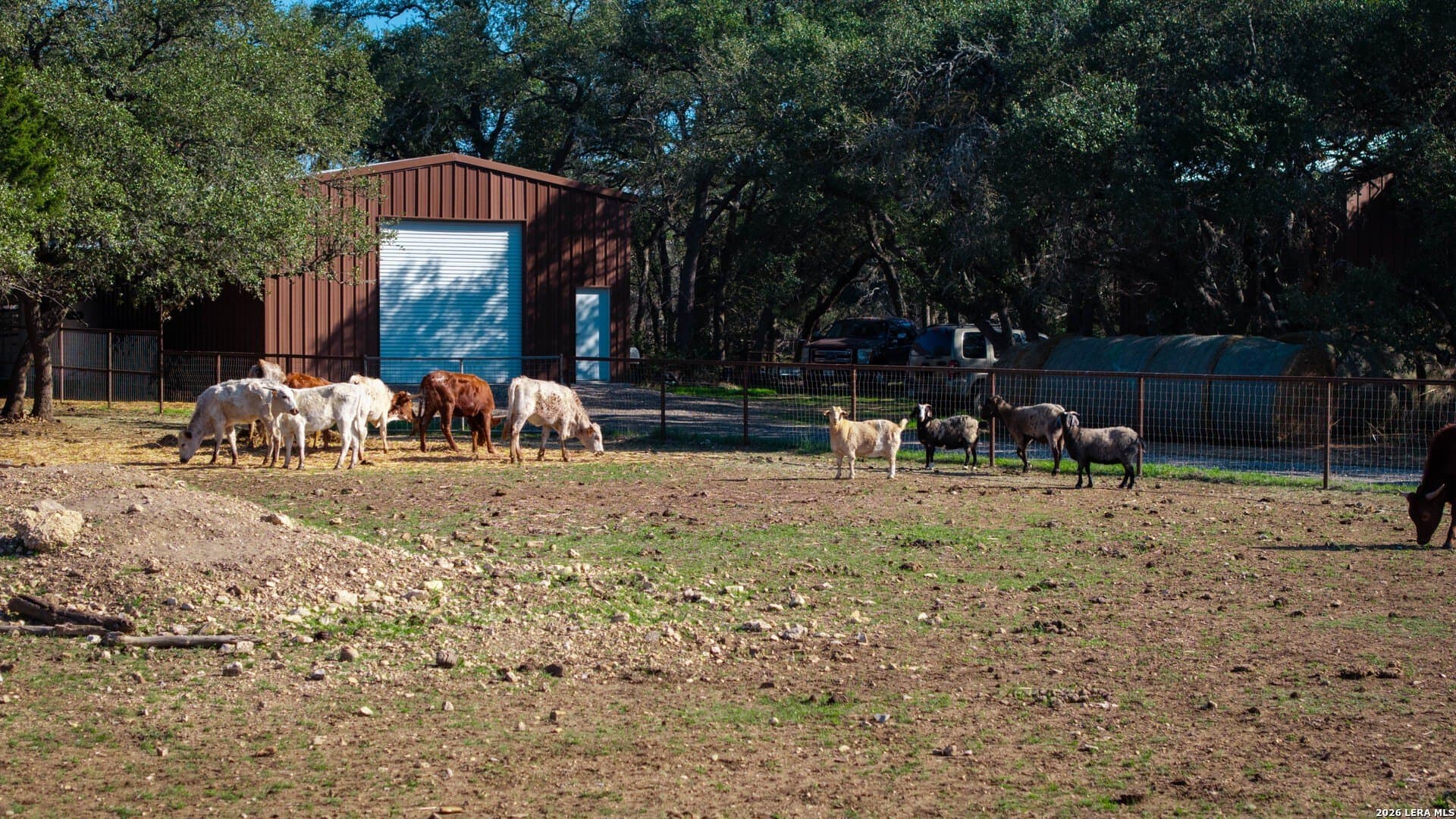 20 acres in Comal County - photo 29