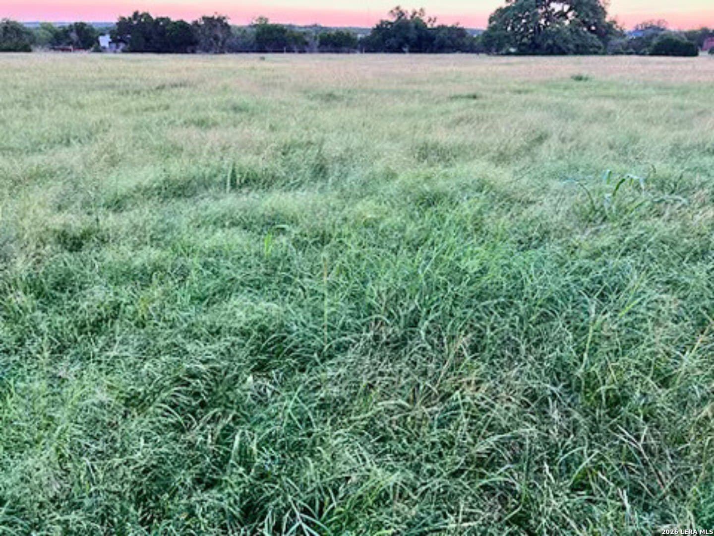 20 acres in Comal County - photo 61