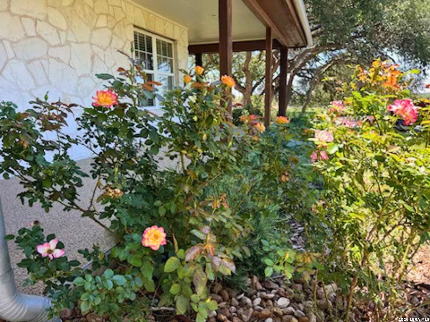 20 acres in Comal County - photo 43