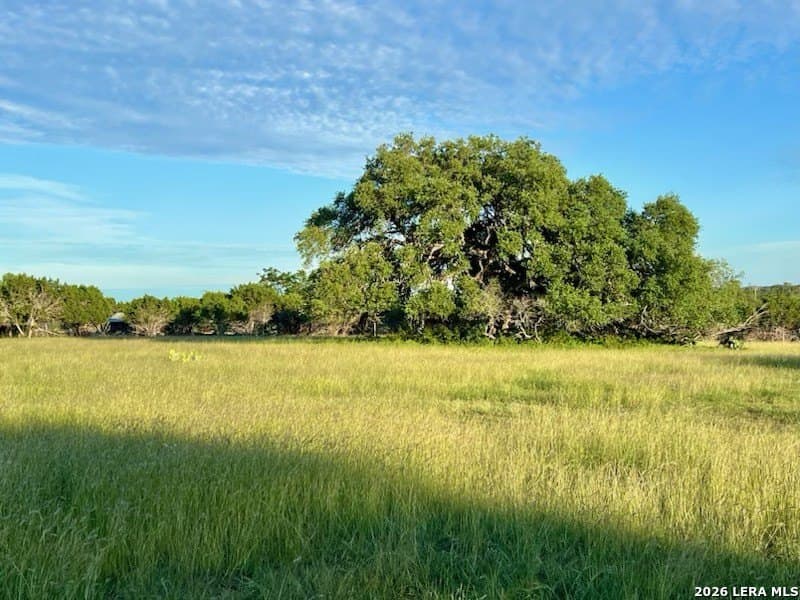 20 acres in Comal County - photo 15