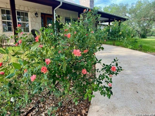 20 acres in Comal County - photo 60