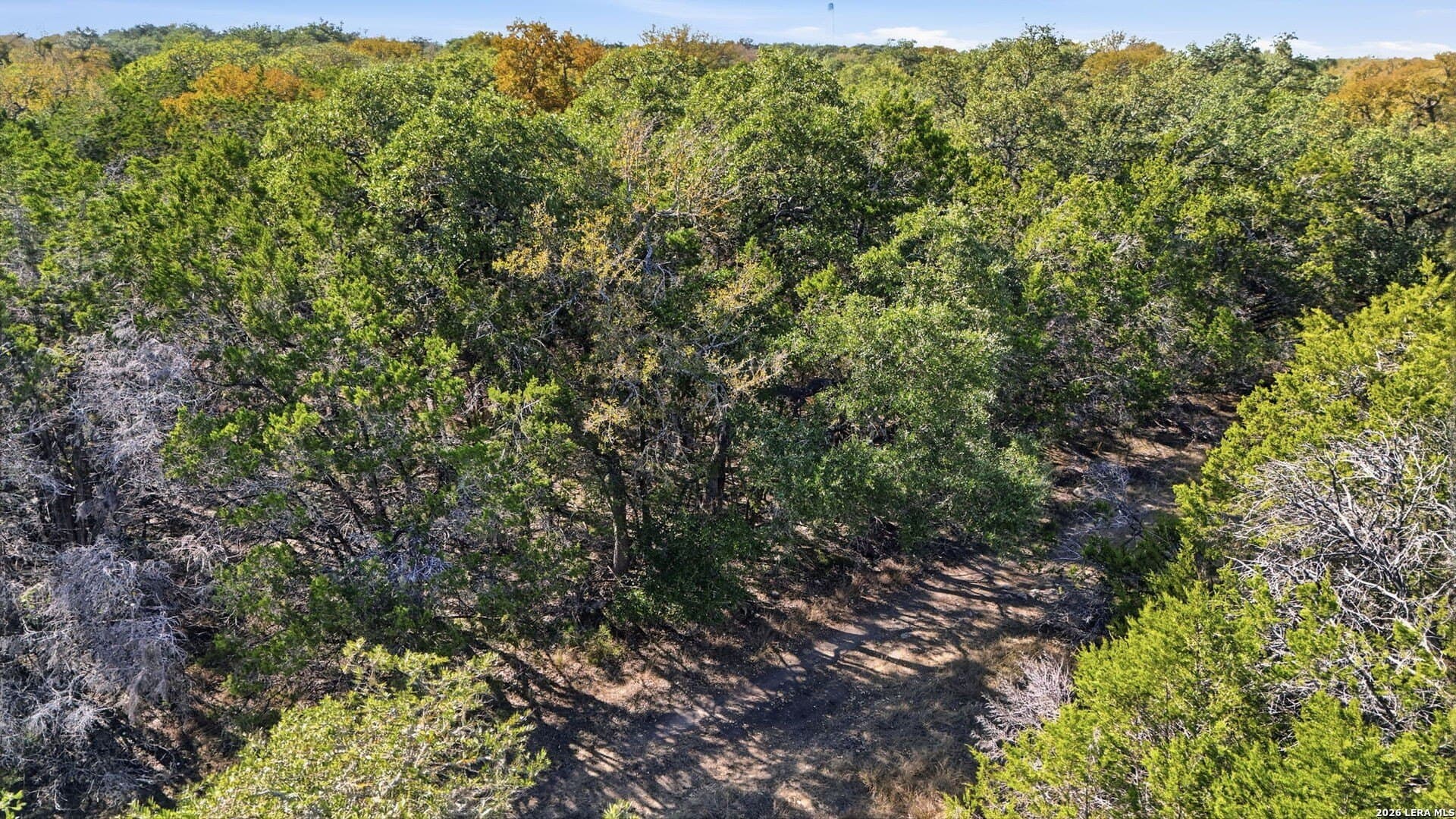 0.26 acres in Comal County - photo 12